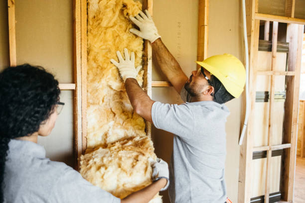 Insulation Replacement Services in Forked River, NJ