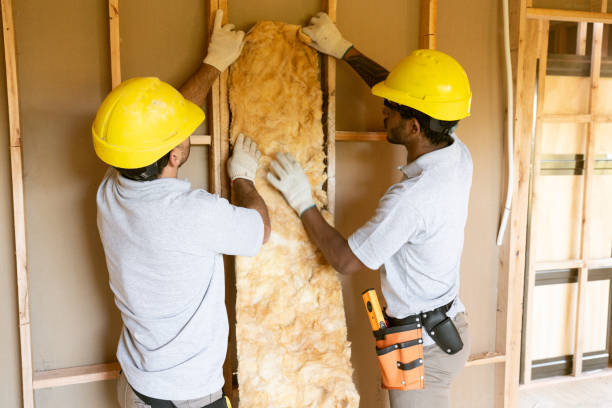 Best Insulation Replacement Services  in Forked River, NJ